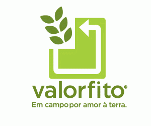 Logo Valorfito