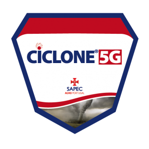 Ciclone5G_2015-01