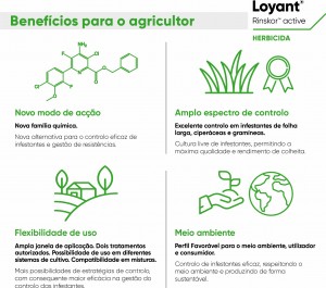 beneficios Diptico LOYANT-PT 2
