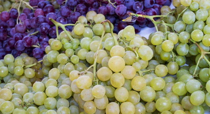 grapes-1143027