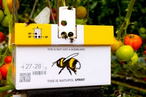Natupol Sprint-Koppert 1