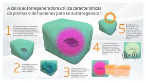 2392-DS-Smith-Box-of-the-future-Infographic_PT+de