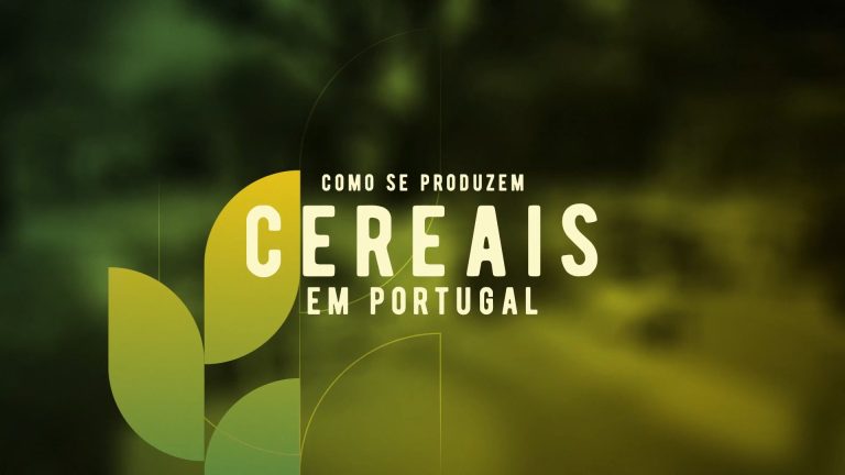 ImagemFilme
