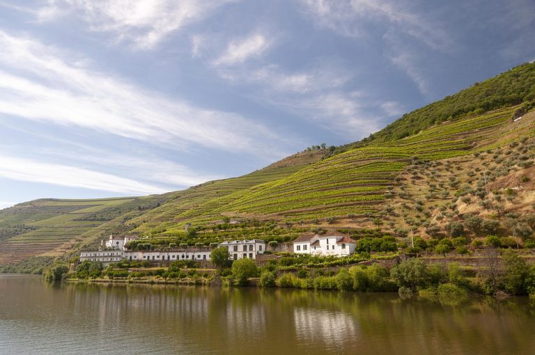 douro-4768663_1280