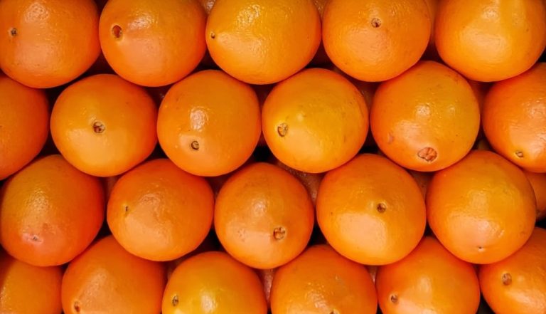 Copy-of-Laranjas