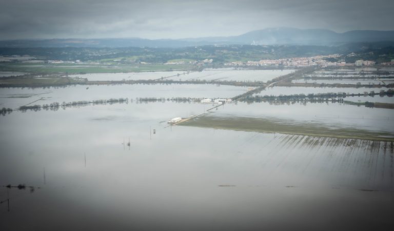 Visita-Comissario-Europeua-Agricultua-02