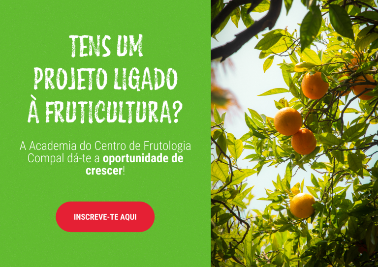 Cartaz Horizontal - 1684x1190