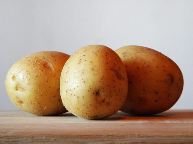 holgersfotografie-potatoes-179471_1280